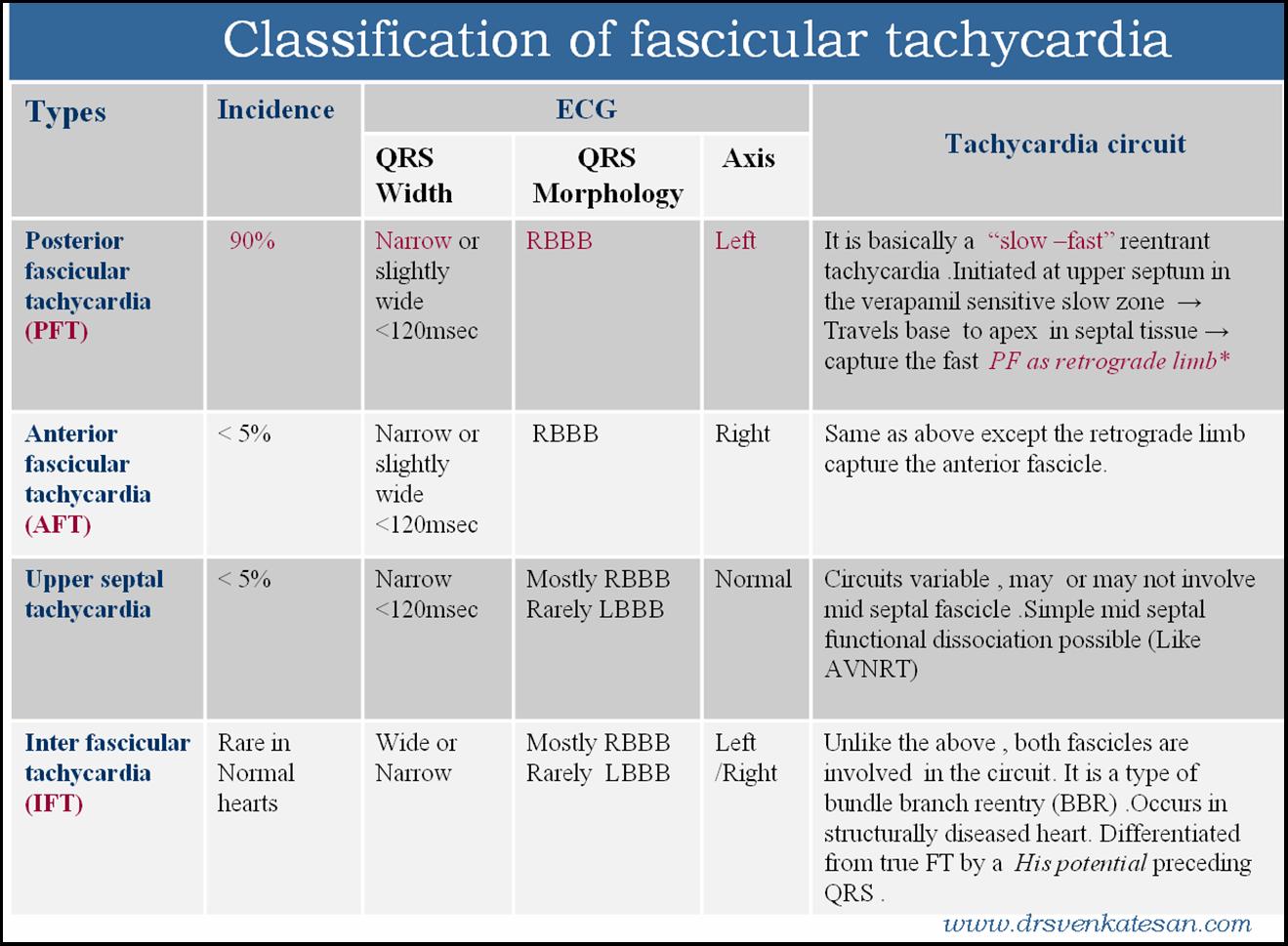 fascicular vt ventricular tachycardia  ecg  svt avnrt avrt wpw