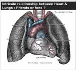 heart lungs pulmonary function test dyspnea cardiomegaly ct&nbsp;ratio