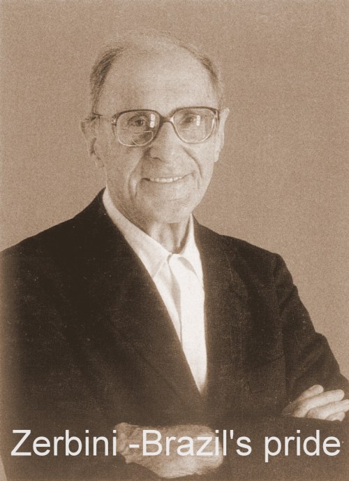 zerbini brazil zerbini foundation