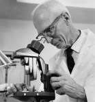 starr edwards mitral valve