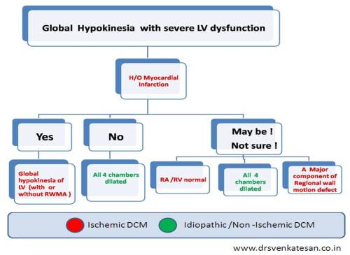 ischemic verses idiopathic dcm