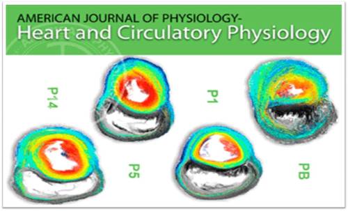 americal journal of physiology