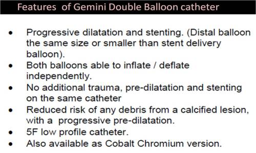 GEMINI DOUBLE BALLON STENT ACCURAMED  3