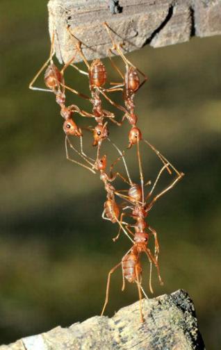 HY05_BIODIVERCITY__1417604e