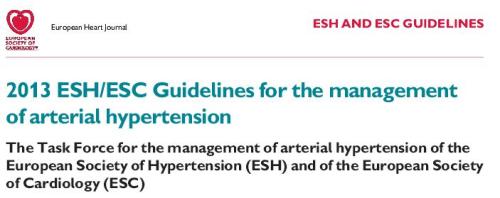 European society of cardiology 2013 guidelines for hypertension