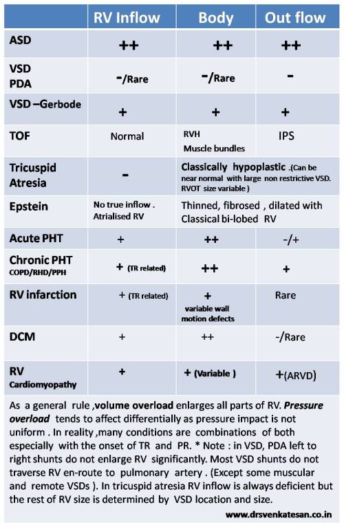 what is the morphology of  RV enlargement RV inflow outflow body sinus portion of RV