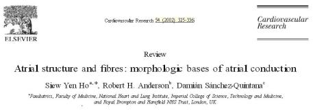 Atrial anatomy and inter nodal pathway thorel bachman wenkeback