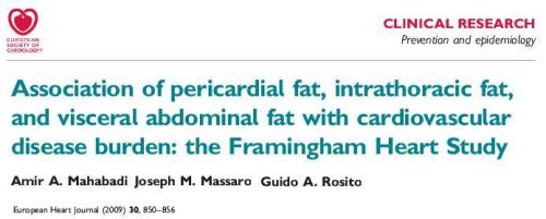 how to measure epicardial fat framingham study