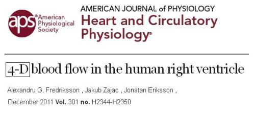 Right ventricle physiology blood flow  3d 4d analysis