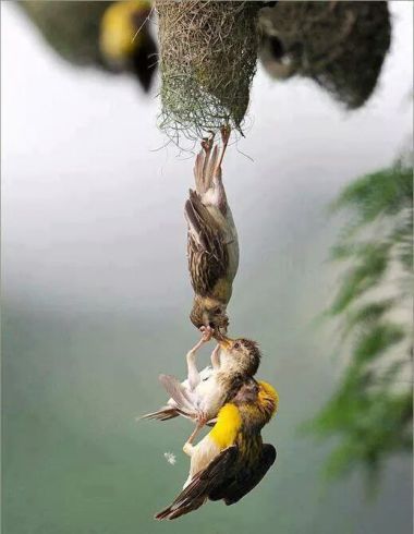 IMG-20141009-WA0008.jpg image