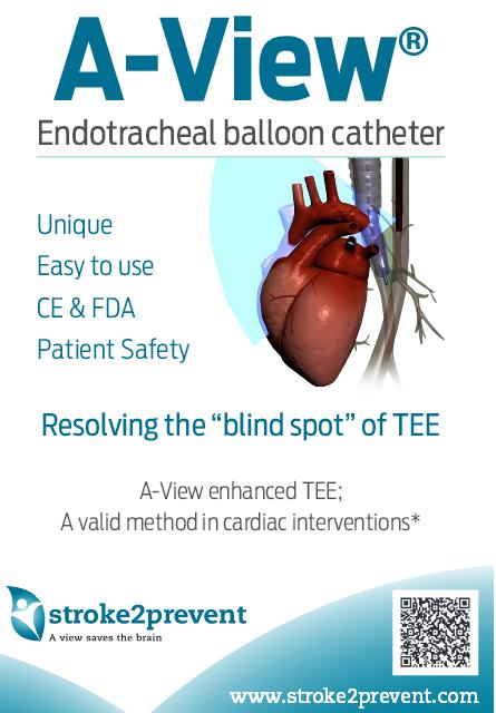 a view endo tracheal balloon catheter how to overcome the aortic blind spot in tee