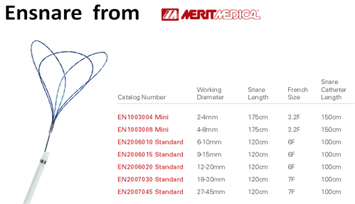 coronary snare ensnare merit medica