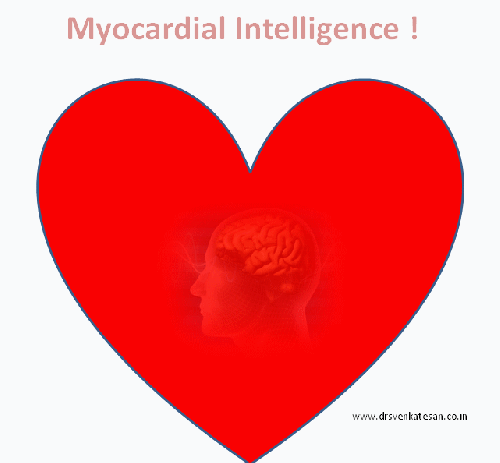 myocardial intelligence myocyte memory