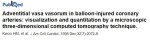 coronary vasavasorum blood supply to coronary artery coronary arterial necrosis arteritis infarct 2 stent induced coronary artery&nbsp;necrois