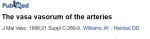 coronary vasavasorum blood supply to coronary artery coronary arterial necrosis arteritis infarct 2 stent induced coronary artery necrosis&nbsp;3